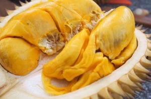 Durian Montong