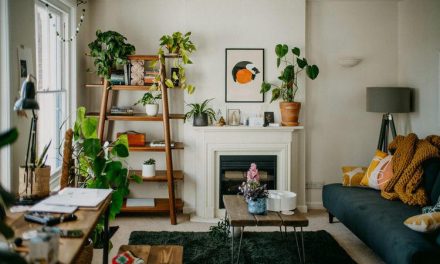 Rak Cantik, Tanaman Hias Tetap Tumbuh Subur!