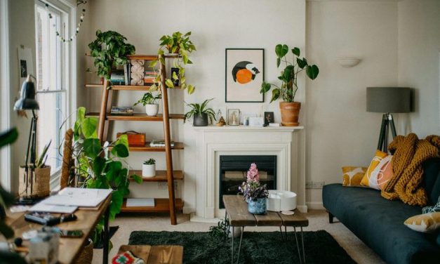 Rak Cantik, Tanaman Hias Tetap Tumbuh Subur!