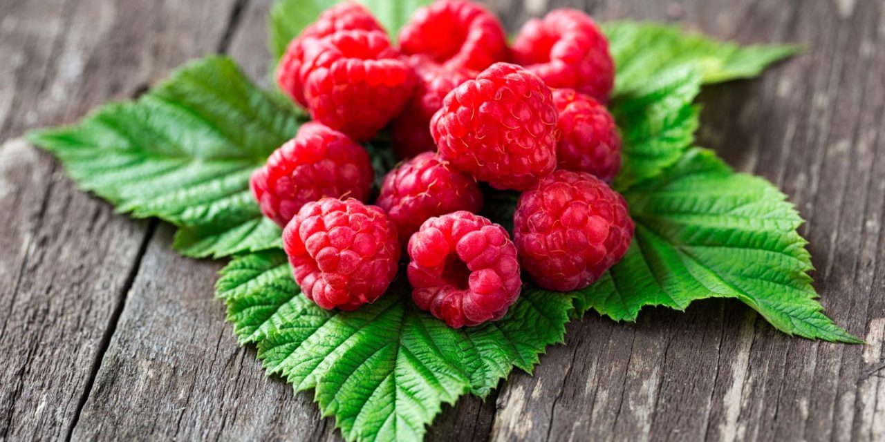Jaga Kolesterol! Raspberry Jadi Pilihan Buah Kaya Serat