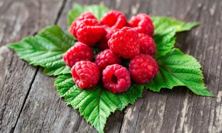 Jaga Kolesterol! Raspberry Jadi Pilihan Buah Kaya Serat