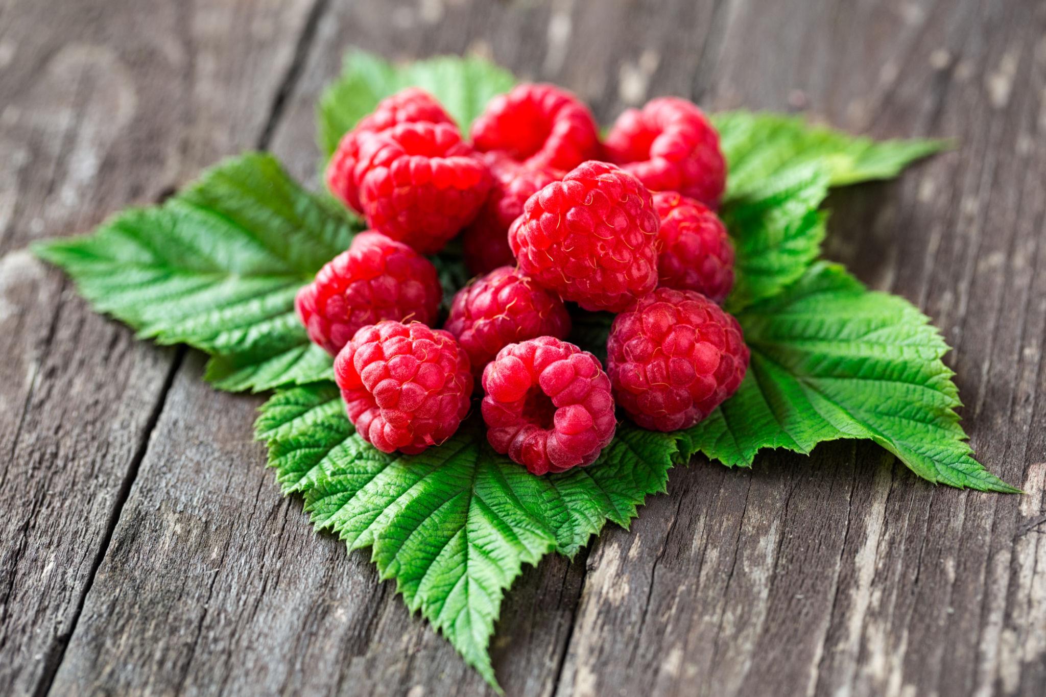 Jaga Kolesterol! Raspberry Jadi Pilihan Buah Kaya Serat